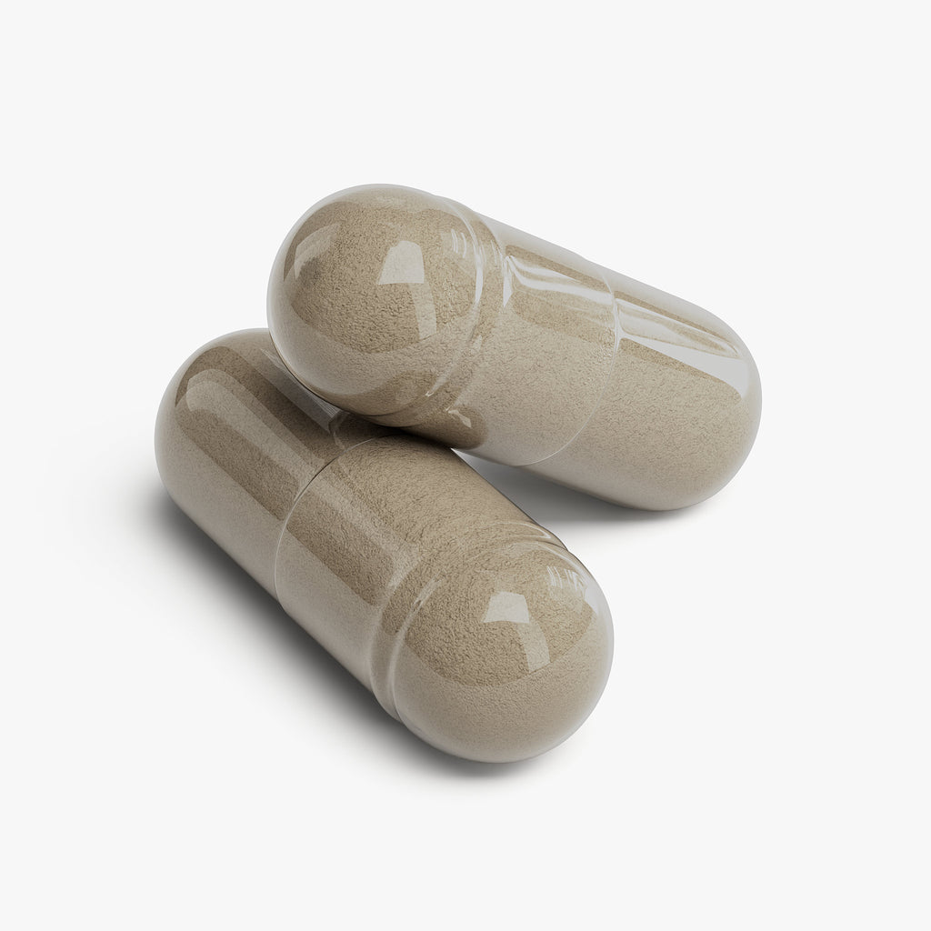 Gotu Kola & Bacopa Clarity Complex (Shamanka Focus)